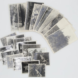 [23 FOTO], Botanizowanie: Janów-Mieżyniec, [nie przed V.1937] 