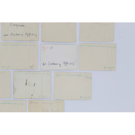 [23 FOTO], Botanizowanie: Janów-Mieżyniec, [nie przed V.1937] 