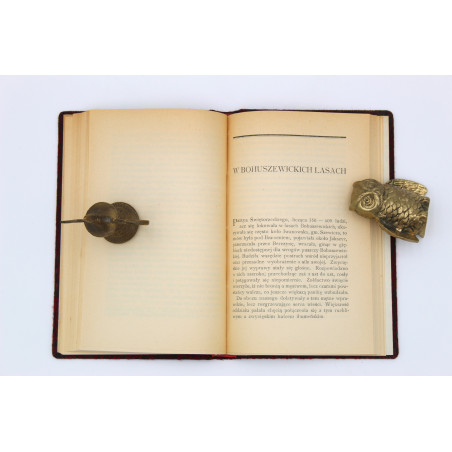 ROK 1863: Obrazy i wspomnienia, Warszawa  1916