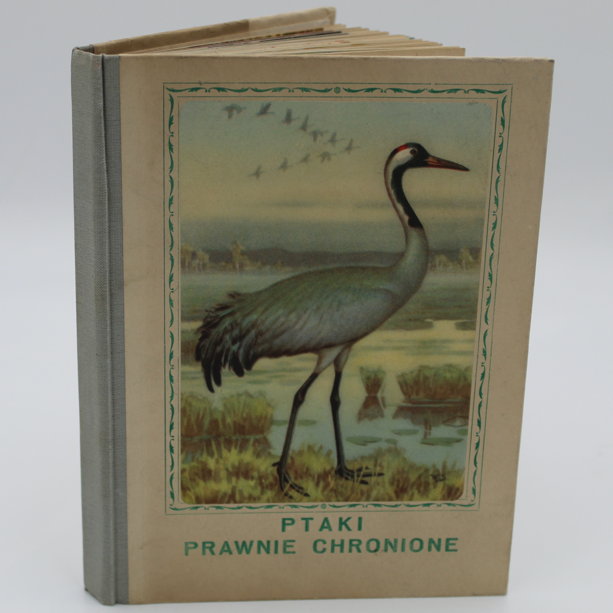 [SOKOŁOWSKI J.], Ptaki prawnie chronione, Warszawa 1964