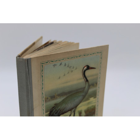 [SOKOŁOWSKI J.], Ptaki prawnie chronione, Warszawa 1964