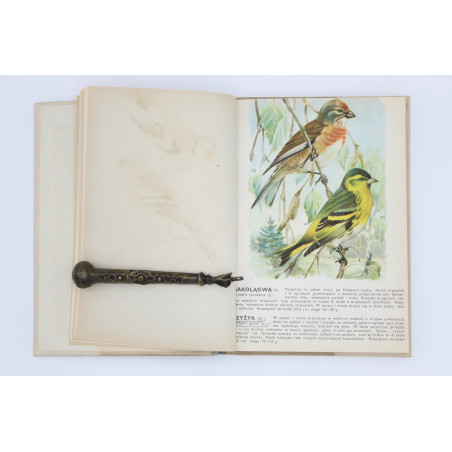 [SOKOŁOWSKI J.], Ptaki prawnie chronione, Warszawa 1964