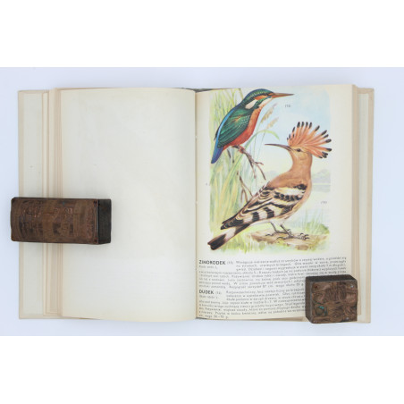 [SOKOŁOWSKI J.], Ptaki prawnie chronione, Warszawa 1964