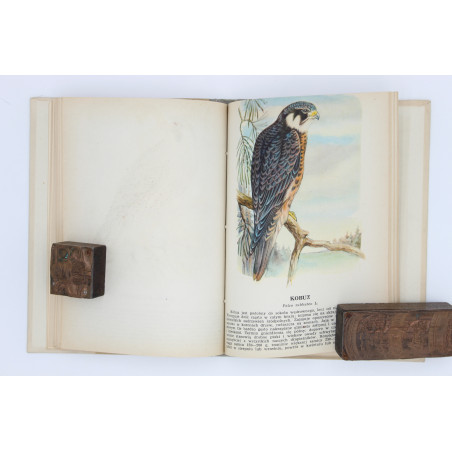 [SOKOŁOWSKI J.], Ptaki prawnie chronione, Warszawa 1964