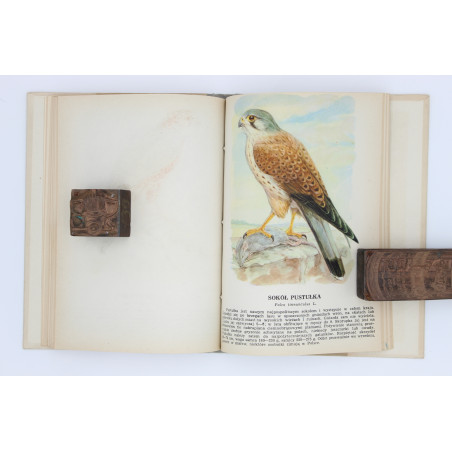 [SOKOŁOWSKI J.], Ptaki prawnie chronione, Warszawa 1964