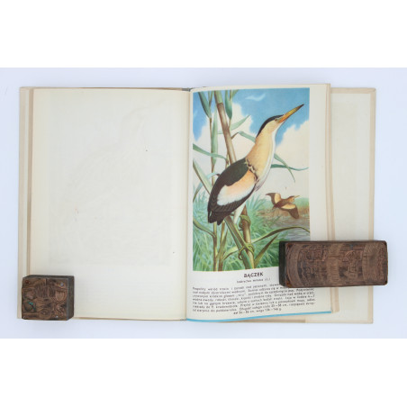 [SOKOŁOWSKI J.], Ptaki prawnie chronione, Warszawa 1964