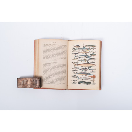 STRÄSSLE Fr., Historya naturalna krotko zebrana dla młodocianego wieku. Wydanie drugie, Warszawa 1869