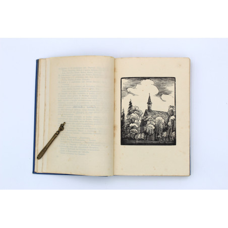 TRUCHIM S., Historia powiatu żnińskiego, Poznań 1927