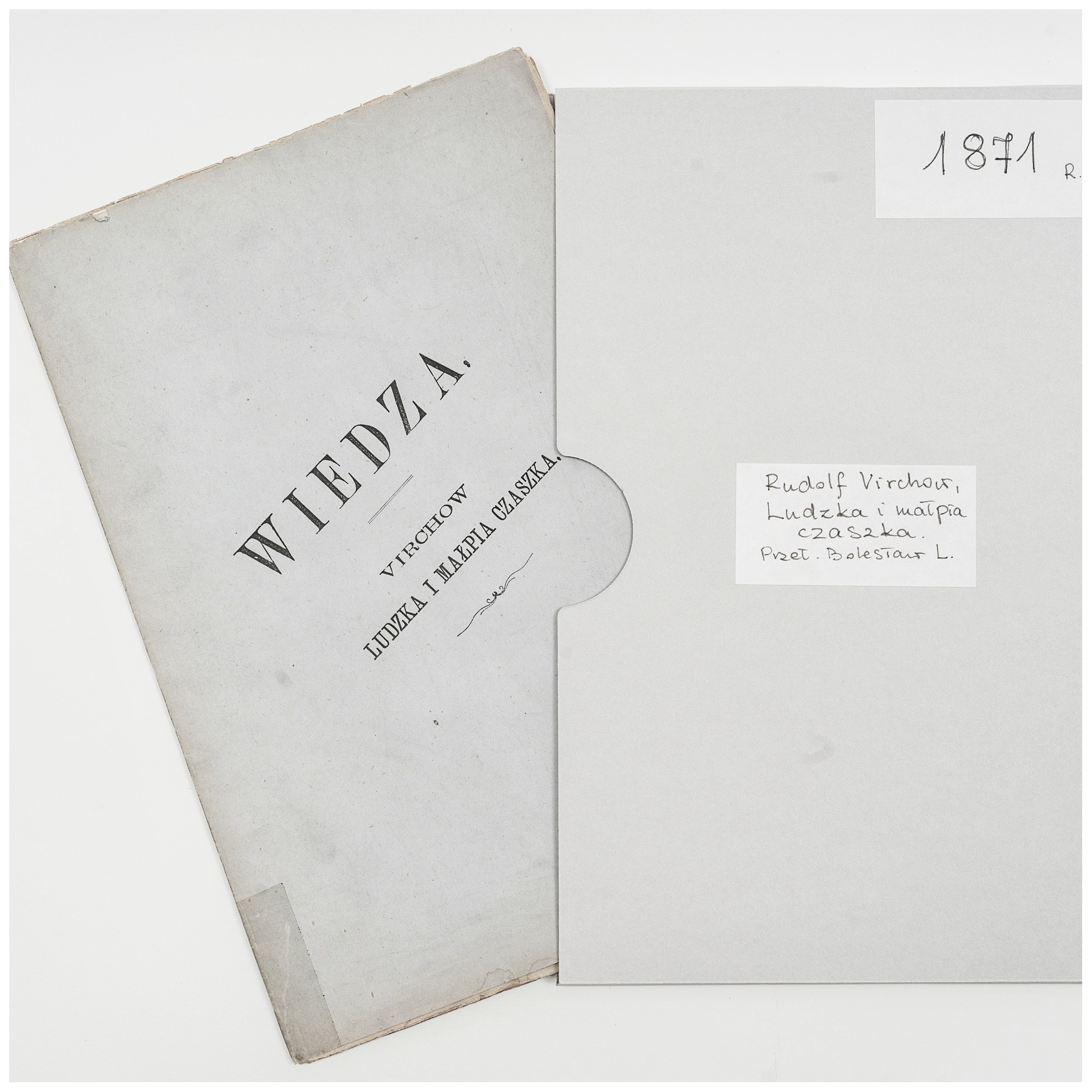 VIRCHOW Rudolf, Ludzka i małpia czaszka [evolution, anthropology, darwinism], Warszawa 1871