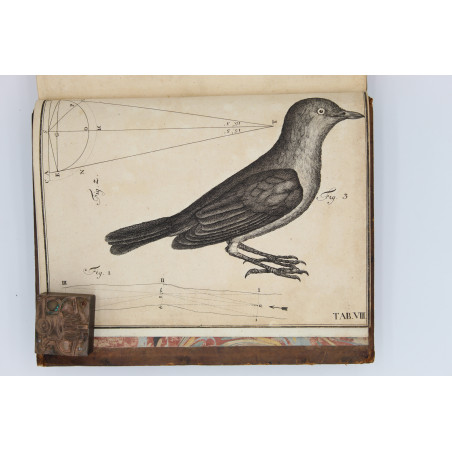 VERSUCHE, Erster Theil, Dantzig  1747