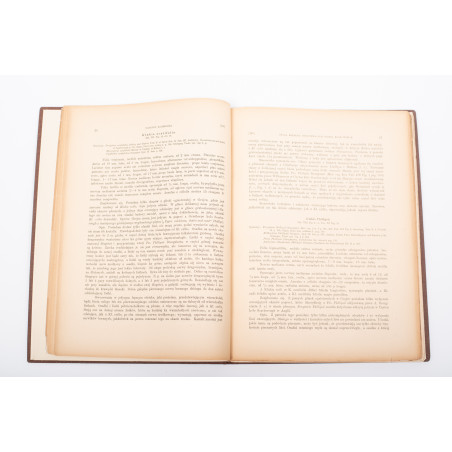 RACIBORSKI Marian, Flora kopalna ogniotrwałych glinek krakowskich [paleobotany], Kraków 1894