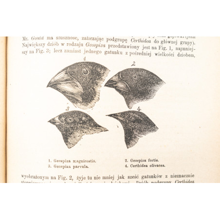 DARWIN Charles, Podróż naturalisty [Journal and Remarks. A Naturalist's Voyage. Journal of Researches], Warszawa 1887