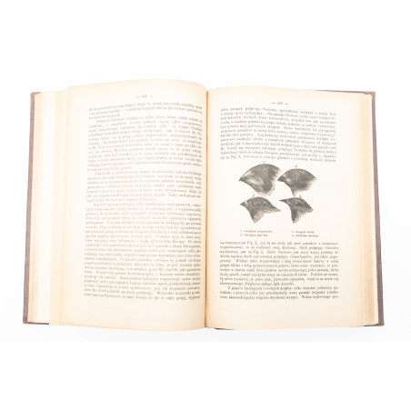 DARWIN Charles, Podróż naturalisty [Journal and Remarks. A Naturalist's Voyage. Journal of Researches], Warszawa 1887