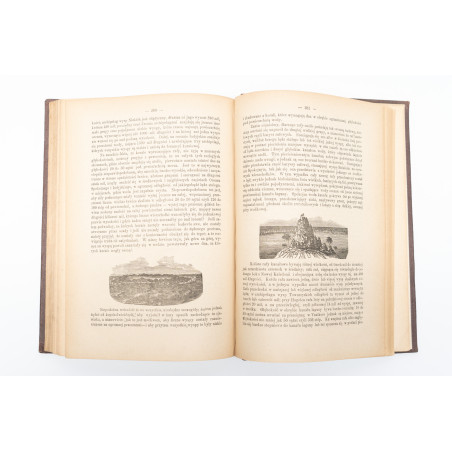 DARWIN Charles, Podróż naturalisty [Journal and Remarks. A Naturalist's Voyage. Journal of Researches], Warszawa 1887