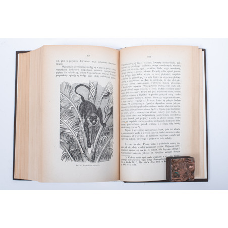 DARWIN Charles, O pochodzeniu człowieka. Dobór płciowy [The Descent of Man], Lwów 1884, 1875-1876