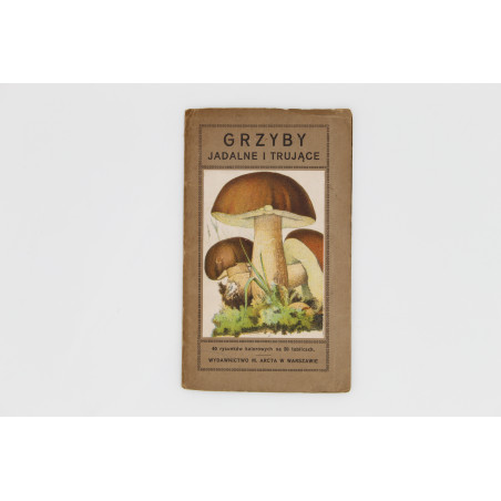 GRZYBY JADALNE I TRUJĄCE. 40 rysunków kol. [fungi, mushrooms], Warszawa [b.r.]