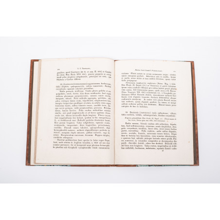TREVIRANUS L.C., Horti botanici Vratislaviensis plantarum vel novarum vel minus cognitarum, [b.m.] 1824