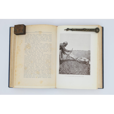 WODZICKI Aleksander, Ośmset kilometrów w Afryce Środkowej. Wyprawa myśliwska [hunting in Africa], Lwów: po II. 1910