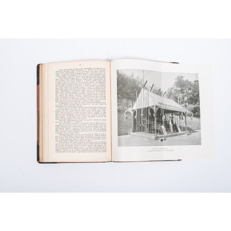 ROZWADOWSKI Józef, Nasze ryby: łososiowate [flyfishing], [w:] „Okólnik”. R. 1901-1903