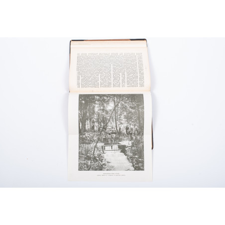 ROZWADOWSKI Józef, Nasze ryby: łososiowate [flyfishing], [w:] „Okólnik”. R. 1901-1903