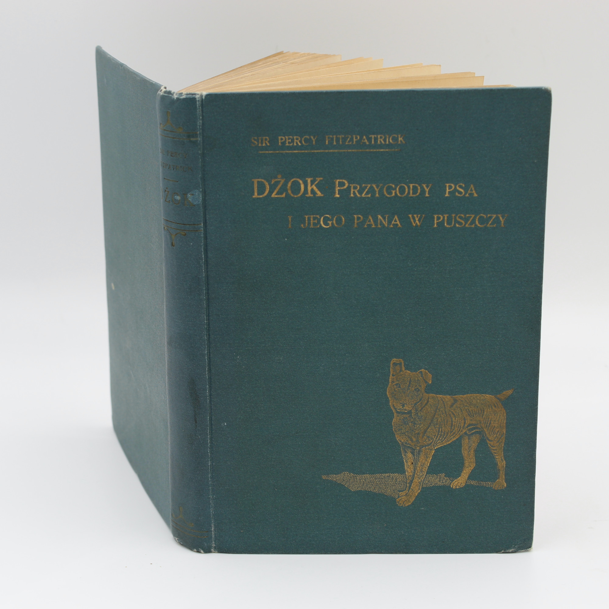 FITZPATRICK Percy, Dżok. Przygody psa i jego pana [Jock of the Bushveld], Warszawa–Kraków 1912