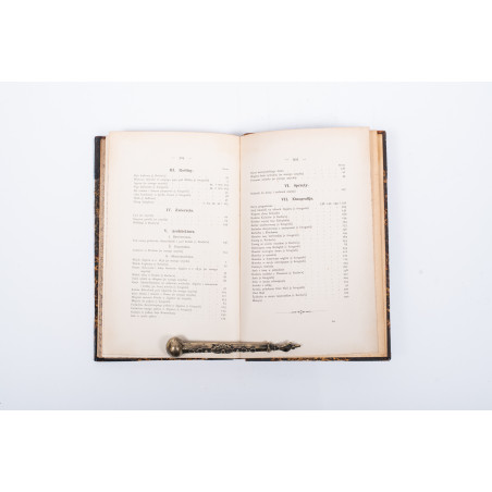 ROSTAFIŃSKI J., Świat i ludzie Algieru. Wydanie drugie z portretem autora, Kraków 1896