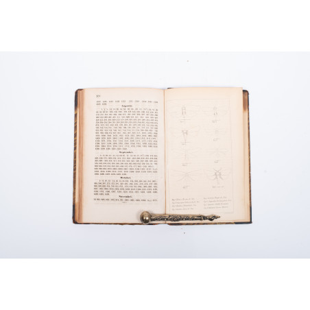 NOWICKI-SIŁA M., Enumeratio lepidopterorum Haliciae orientalis, Leopoli 1860