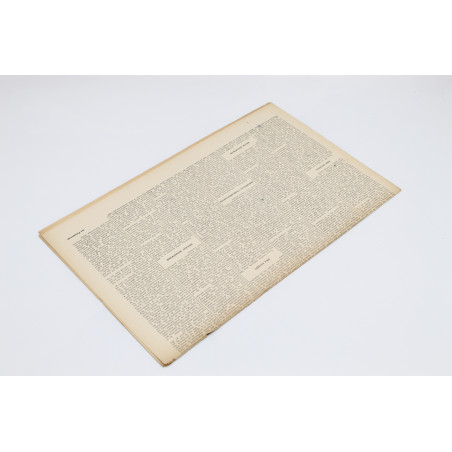 SCHULZ Bruno, Schulz i Gombrowicz, "WIADOMOŚCI LITERACKIE" 1938