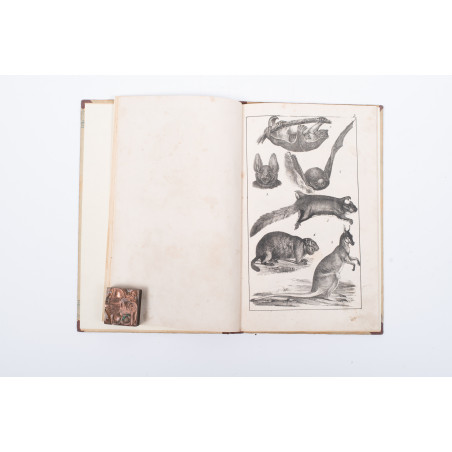 WERMIŃSKI F., Atlas historyi naturalnej. Zoologia, botanika i mineralogia, Warszawa 1898