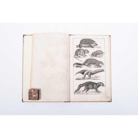 WERMIŃSKI F., Atlas historyi naturalnej. Zoologia, botanika i mineralogia, Warszawa 1898