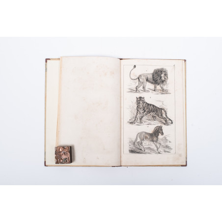 WERMIŃSKI F., Atlas historyi naturalnej. Zoologia, botanika i mineralogia, Warszawa 1898