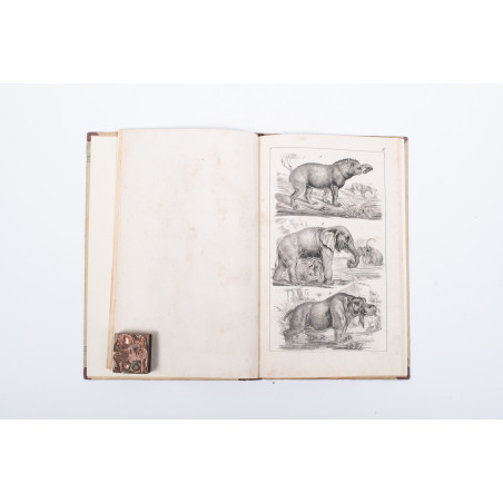 WERMIŃSKI F., Atlas historyi naturalnej. Zoologia, botanika i mineralogia, Warszawa 1898