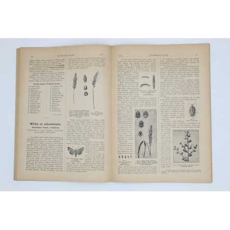 "ENTOMOLOG POLSKI", [komplet trzech nr.], Łódź 1910-1911
