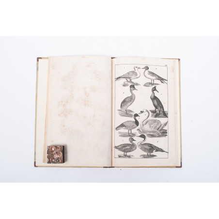 WERMIŃSKI F., Atlas historyi naturalnej. Zoologia, botanika i mineralogia, Warszawa 1898