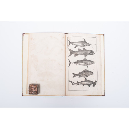 WERMIŃSKI F., Atlas historyi naturalnej. Zoologia, botanika i mineralogia, Warszawa 1898