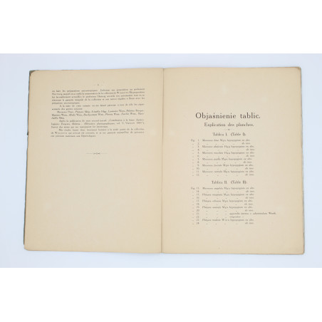 DZIEDZICKI Henryk, Atlas organów rozrodczych (Hypopygium), Warszawa 1915