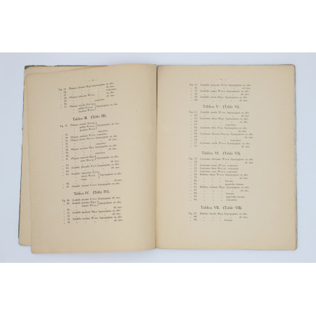 DZIEDZICKI Henryk, Atlas organów rozrodczych (Hypopygium), Warszawa 1915