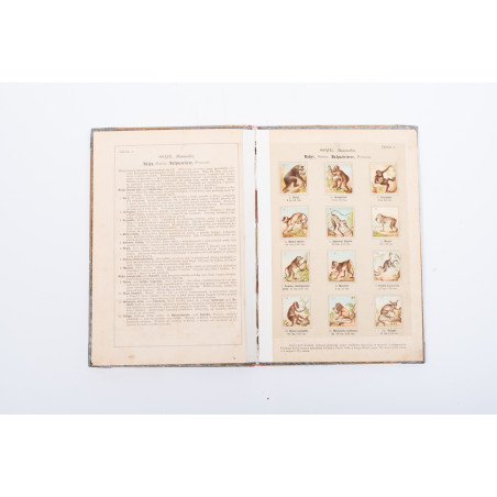 ŚLÓSARSKI A., Systematyczny kurs nauk. Mały atlas zoologiczny. Część I. Ssące, Warszawa  1890