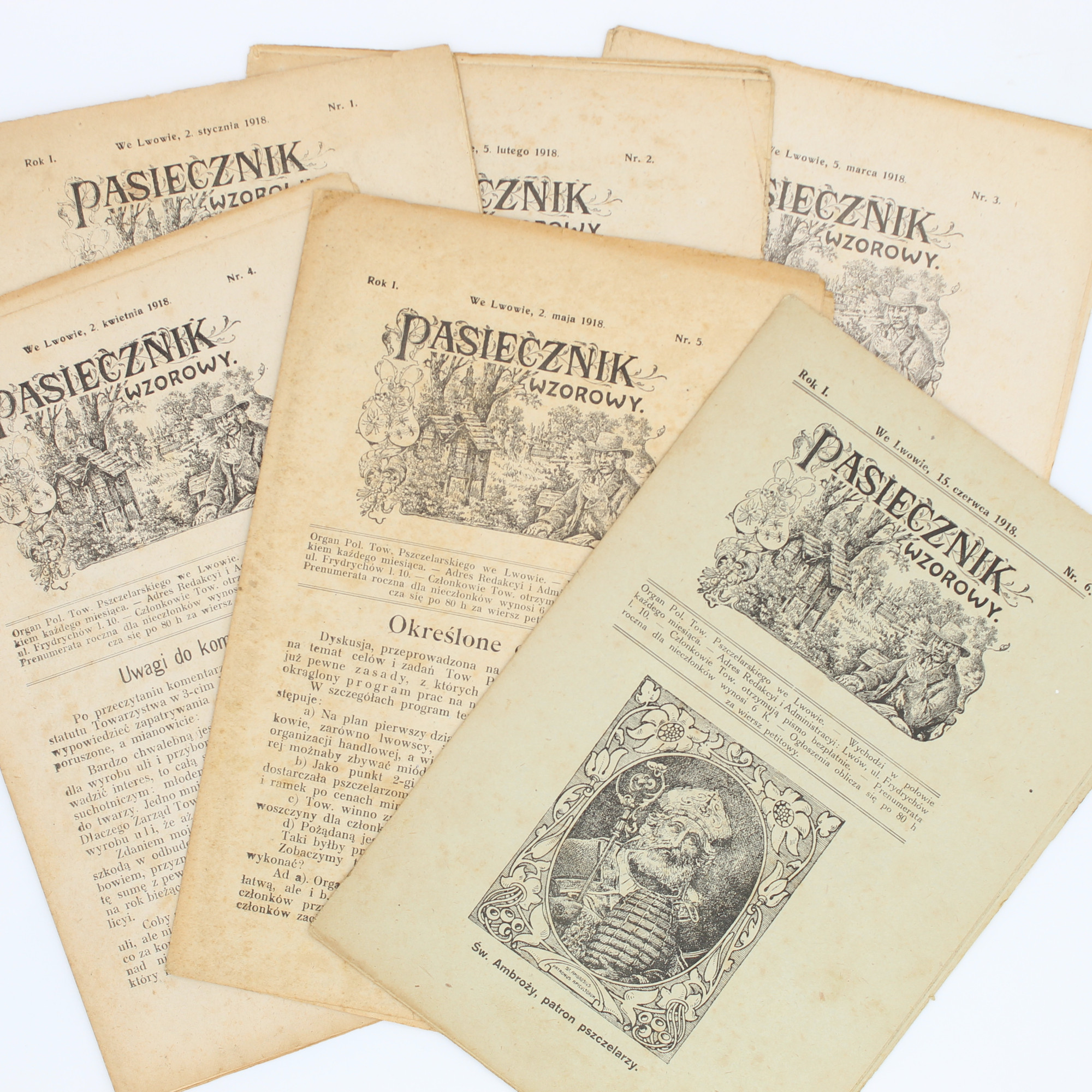 "PASIECZNIK WZOROWY", [kompletny pierwszy rocznik], Lwów 1918