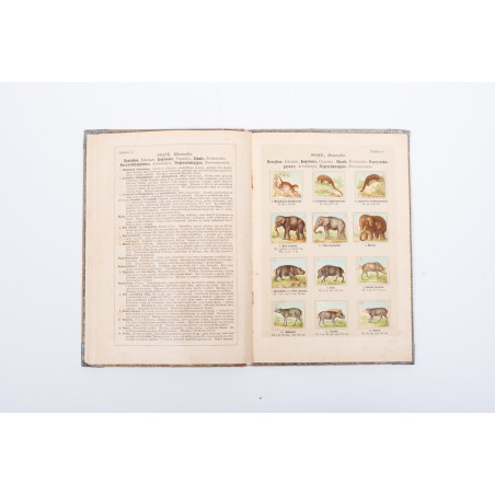 ŚLÓSARSKI A., Systematyczny kurs nauk. Mały atlas zoologiczny. Część I. Ssące, Warszawa  1890